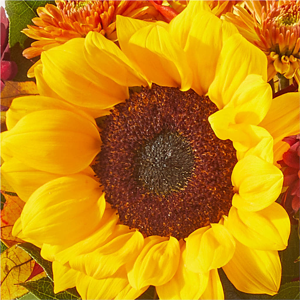 Sunny Side Bouquet –  The Owls Nest Florist, York SC