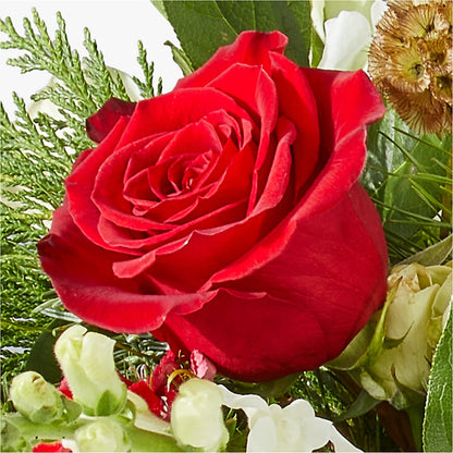 Deck the Halls Bouquet –  The Owls Nest Florist, York SC