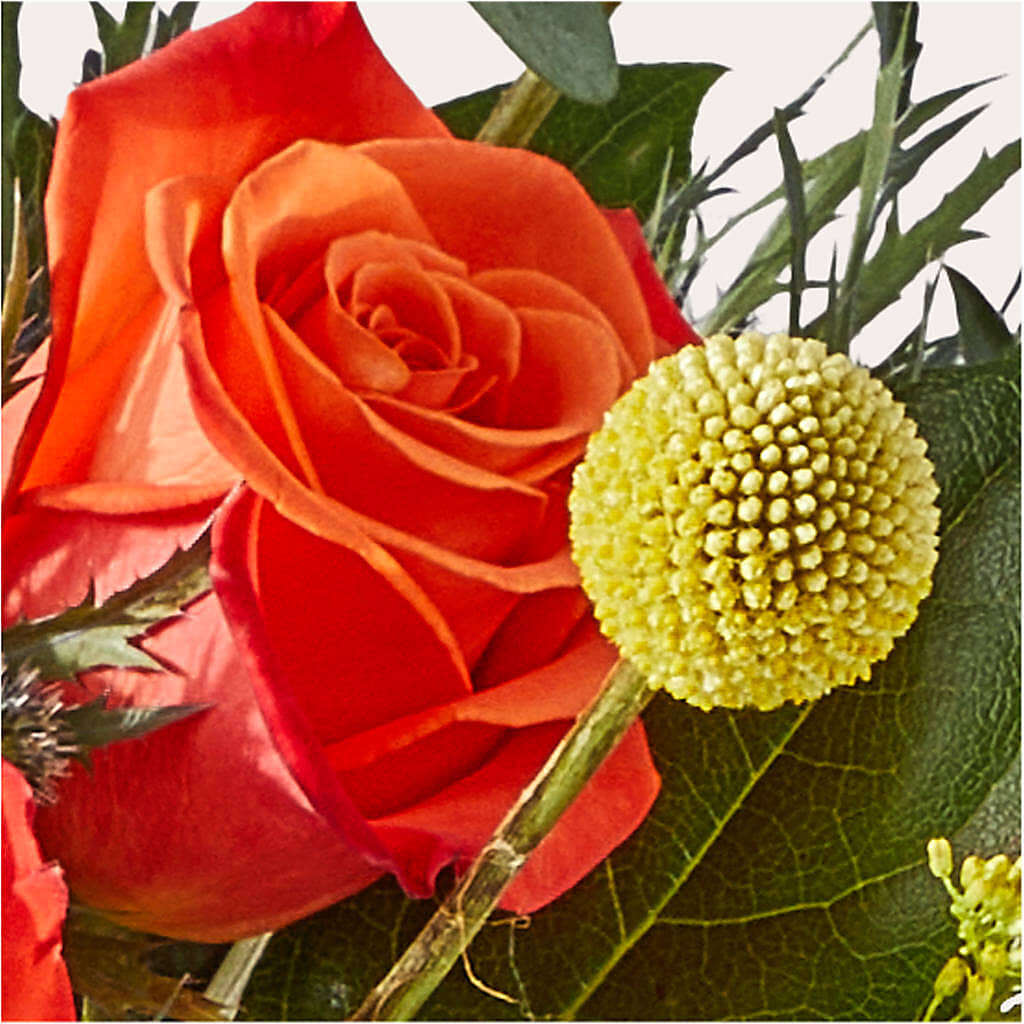 Disco Bouquet –  The Owls Nest Florist, York SC