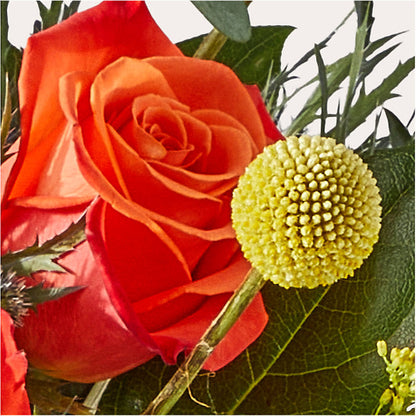 Disco Bouquet –  The Owls Nest Florist, York SC