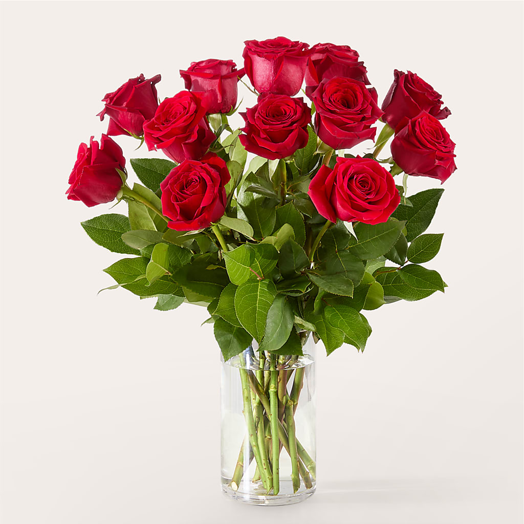 The One Red Rose Bouquet –  The Owls Nest Florist, York SC