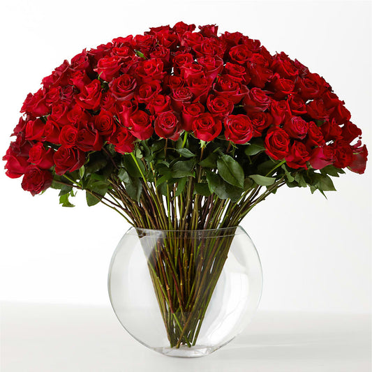 The Idealist –  The Owls Nest Florist, York SC