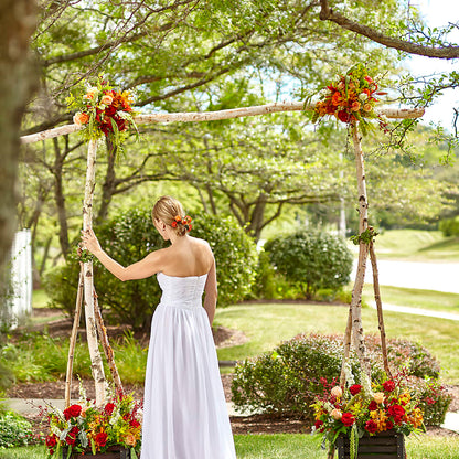 Arbor of Love Archway –  The Owls Nest Florist, York SC