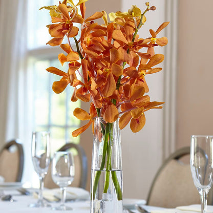 Orange Mokara Bud Vase –  The Owls Nest Florist, York SC
