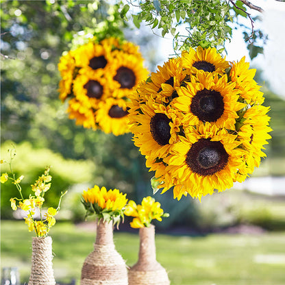 Sublime Garden Hanging Arrangement –  The Owls Nest Florist, York SC