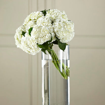 White Hydrangea Hand-Tied Bouquet –  The Owls Nest Florist, York SC