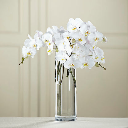 White Phalaenopsis Bouquet –  The Owls Nest Florist, York SC