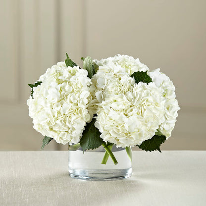 White Hydrangea Bouquet –  The Owls Nest Florist, York SC